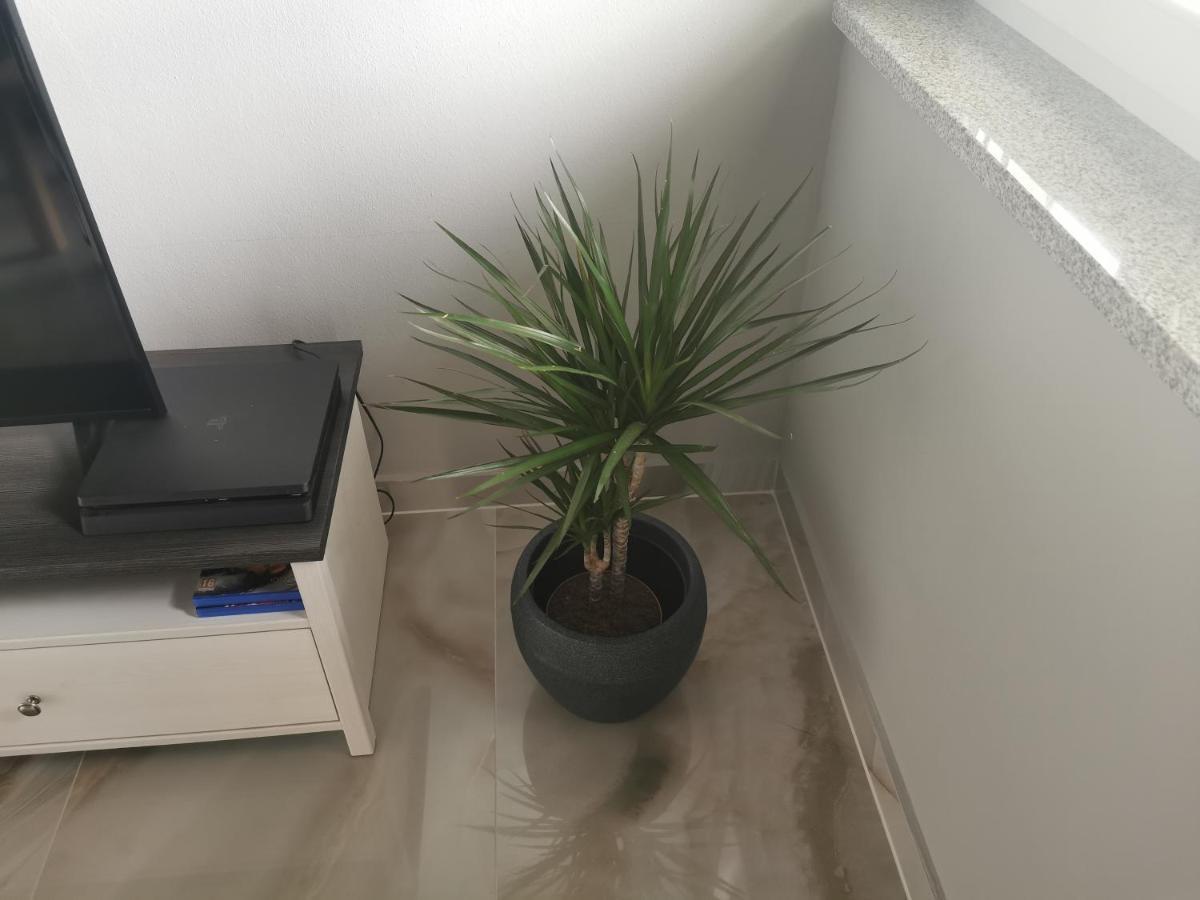 Apartment Luki 波威尔 外观 照片